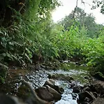 Tiny House Nature 13 - Tiny Village Harz *