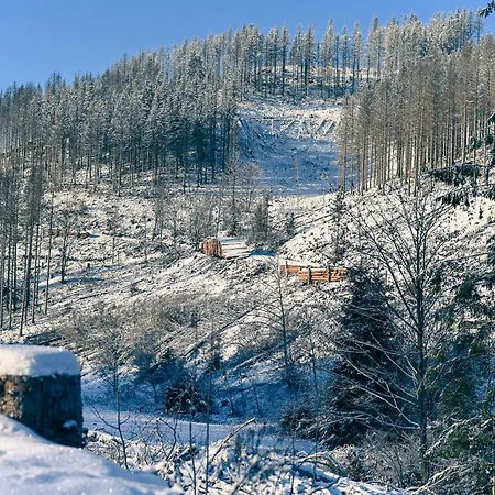Prázdninový dům Tiny House Nature 13 - Tiny Village Harz