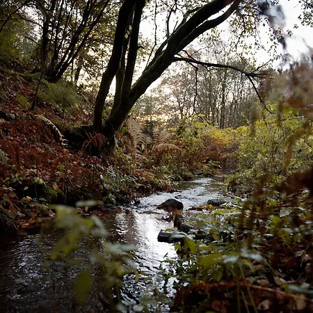 Tiny House Nature 13 - Tiny Village Harz Prázdninový dům *