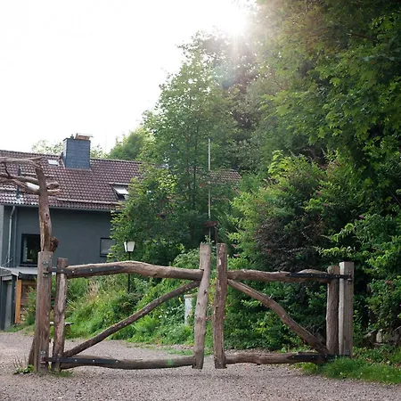 Tiny House Nature 13 - Tiny Village Harz Holiday home